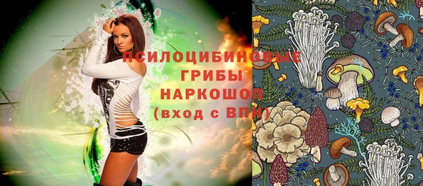 ешки Белокуриха