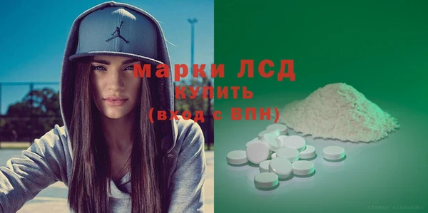 прущие грибы Баксан