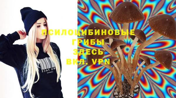 гидра Балахна