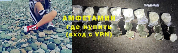 прущие грибы Баксан