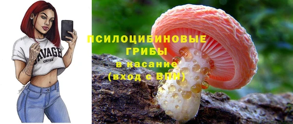 гидра Балахна
