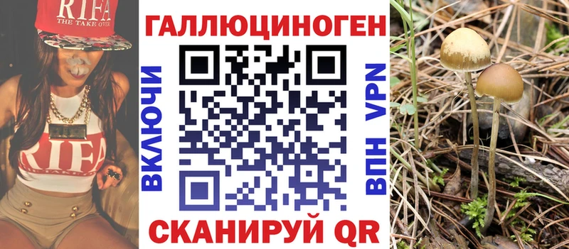 продажа наркотиков  Вятские Поляны  OMG   Псилоцибиновые грибы MAGIC MUSHROOMS 